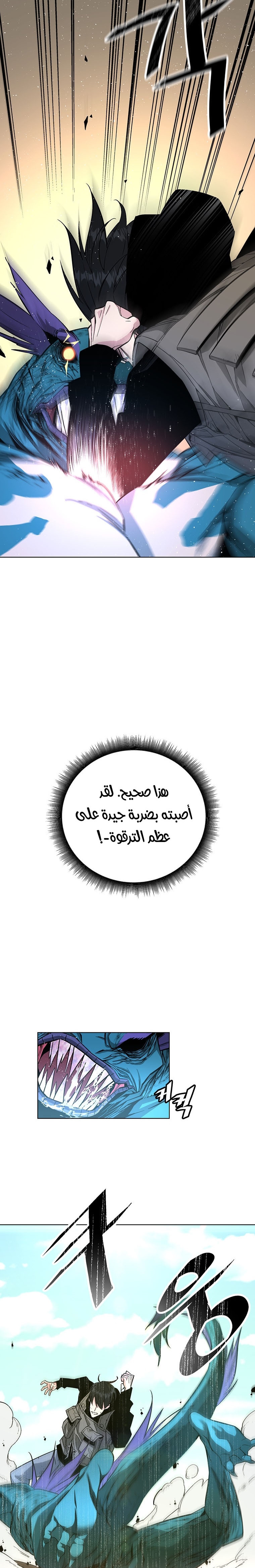 صفحة 20