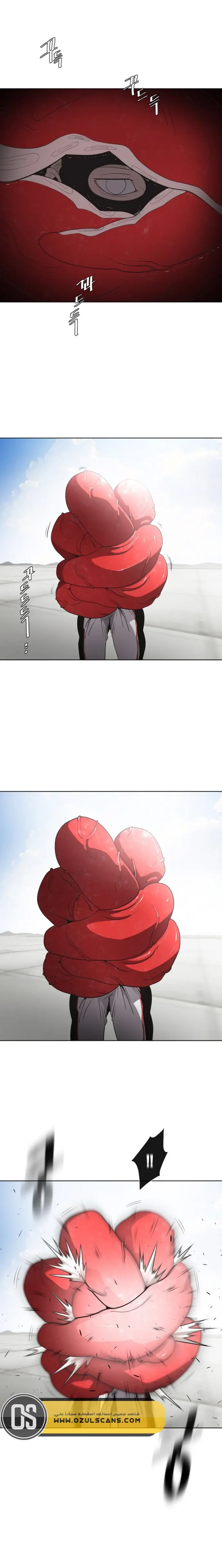 صفحة 17