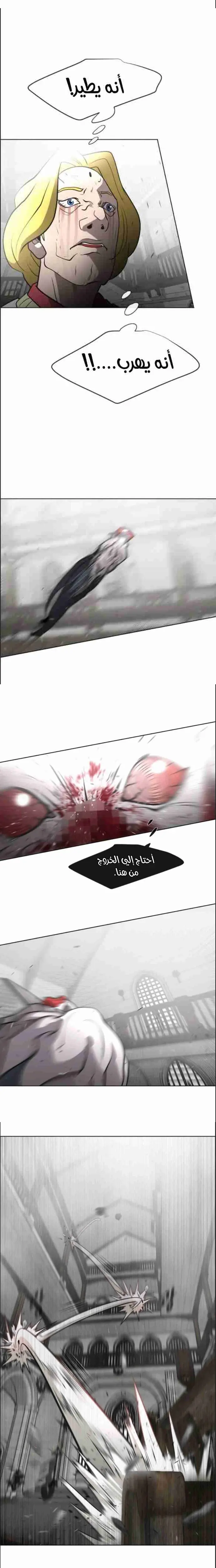 صفحة 17