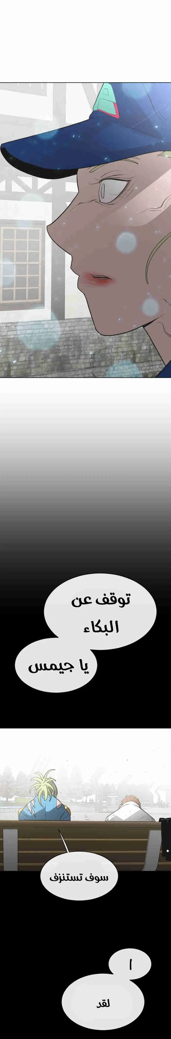 صفحة 13
