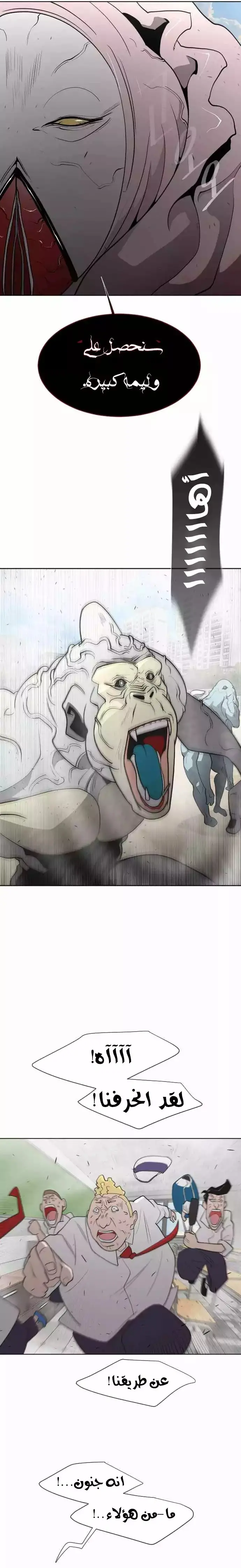 صفحة 17