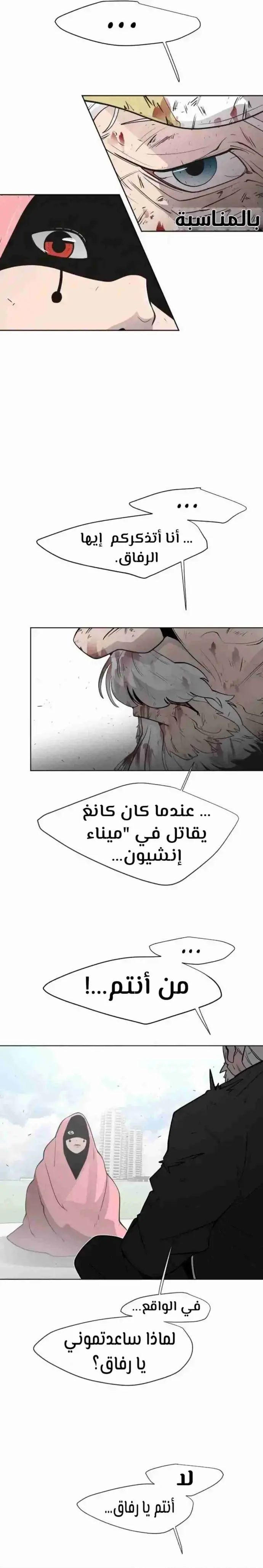 صفحة 17