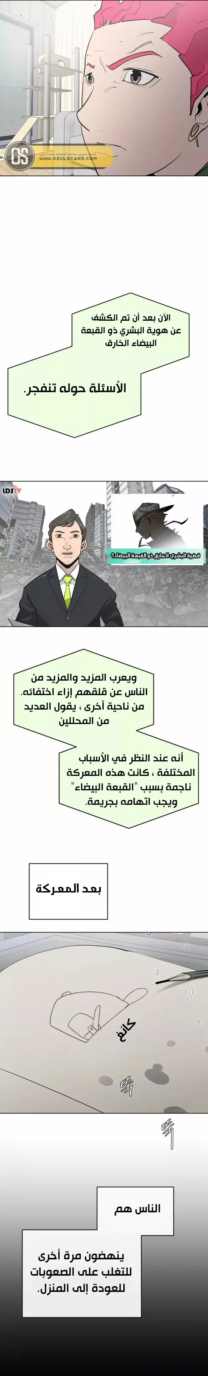 صفحة 13