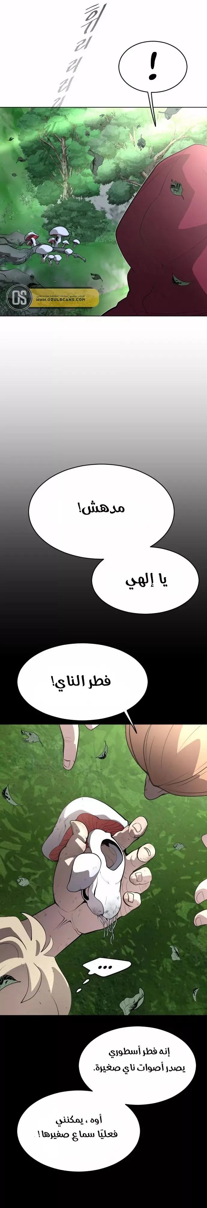 صفحة 33