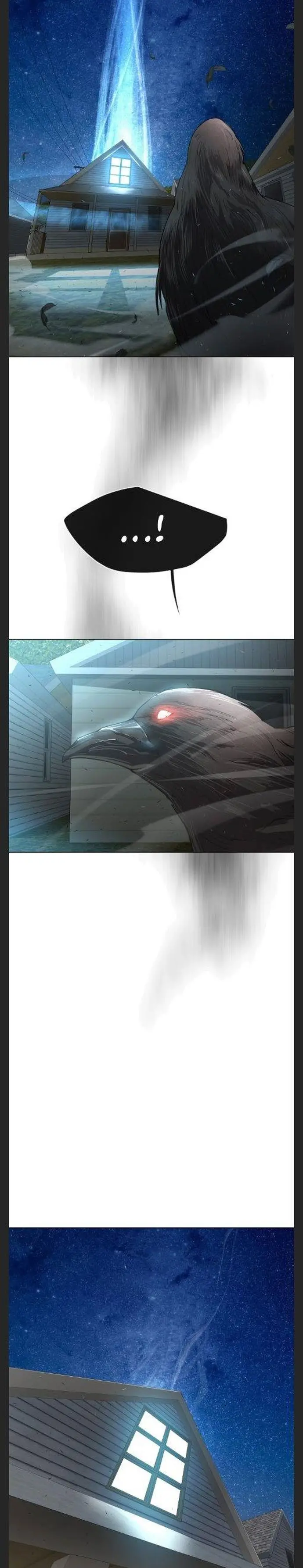 صفحة 17