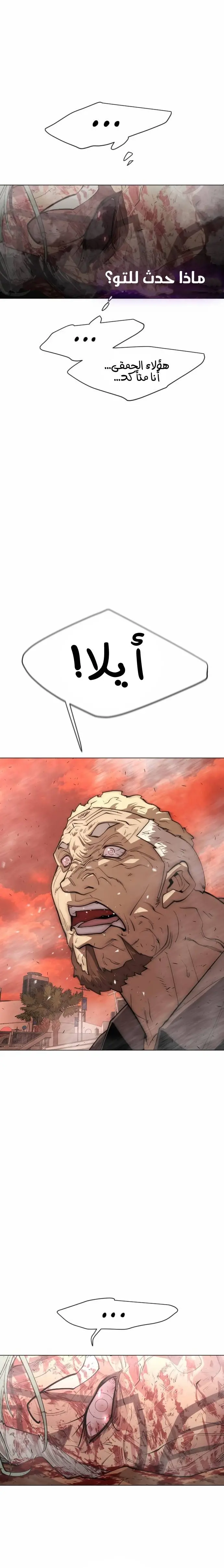 صفحة 17