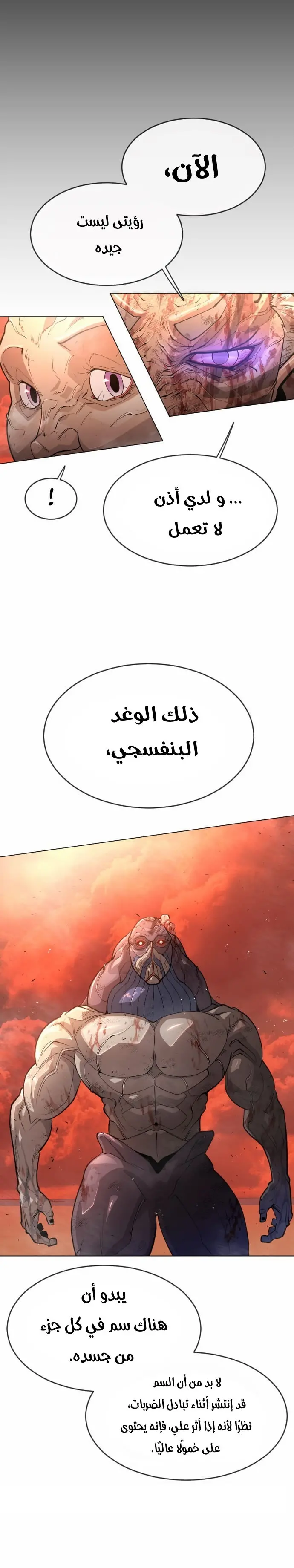 صفحة 12