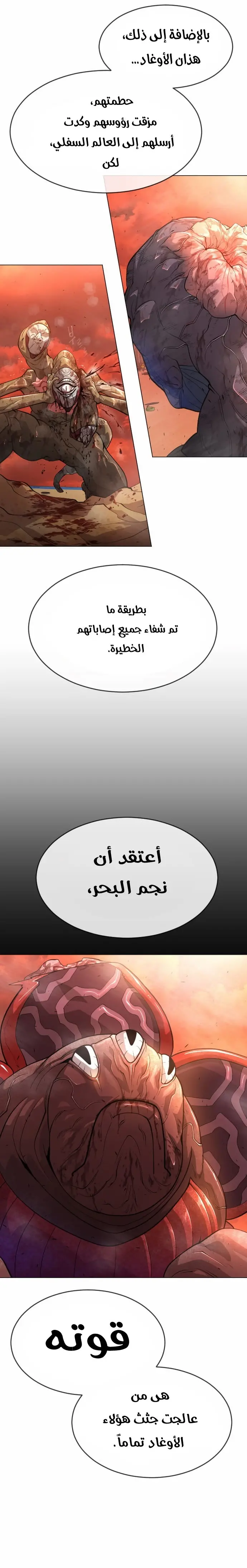 صفحة 13