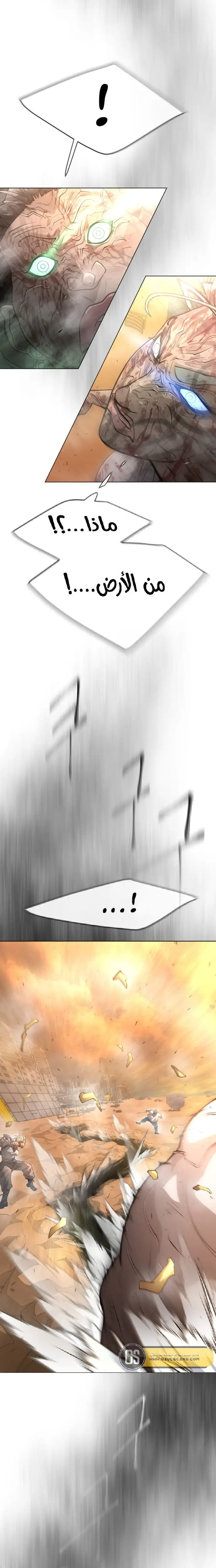صفحة 14