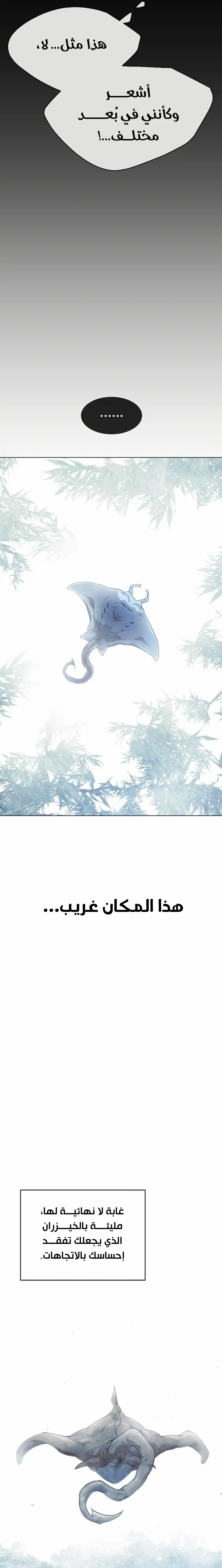 صفحة 24