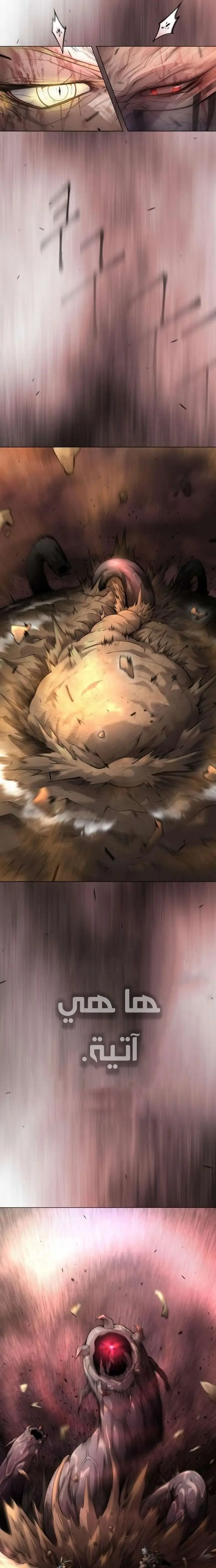 صفحة 21