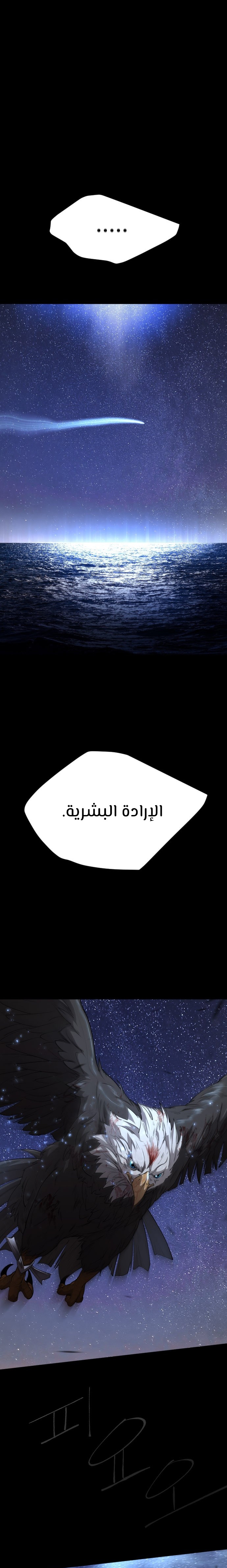 صفحة 14