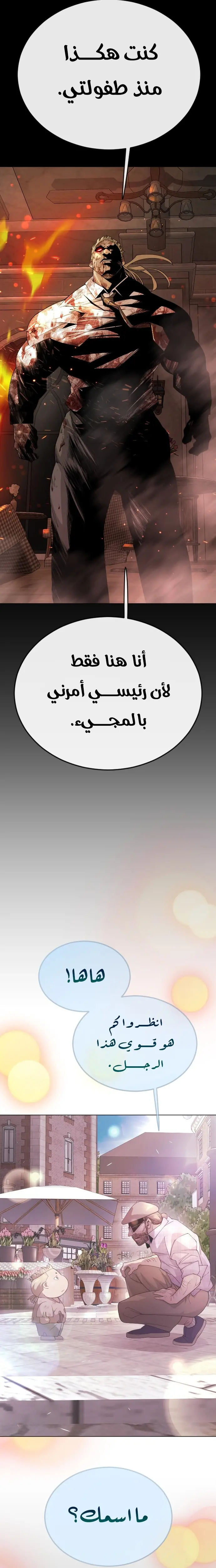 صفحة 17