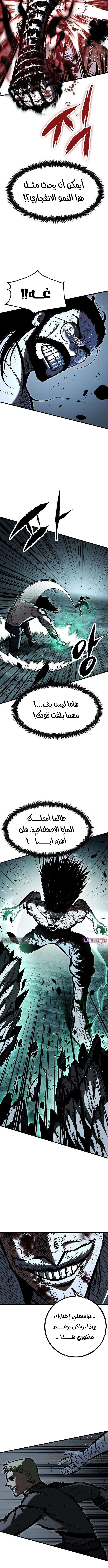 صفحة 14