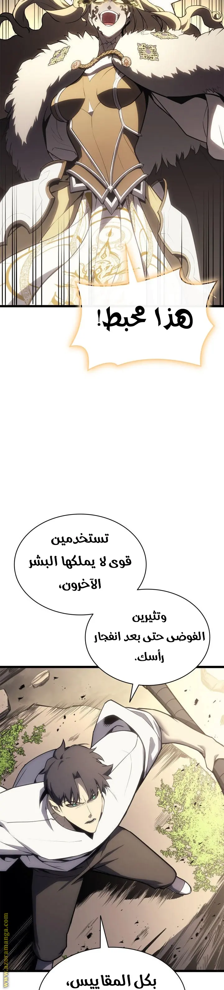 صفحة 13