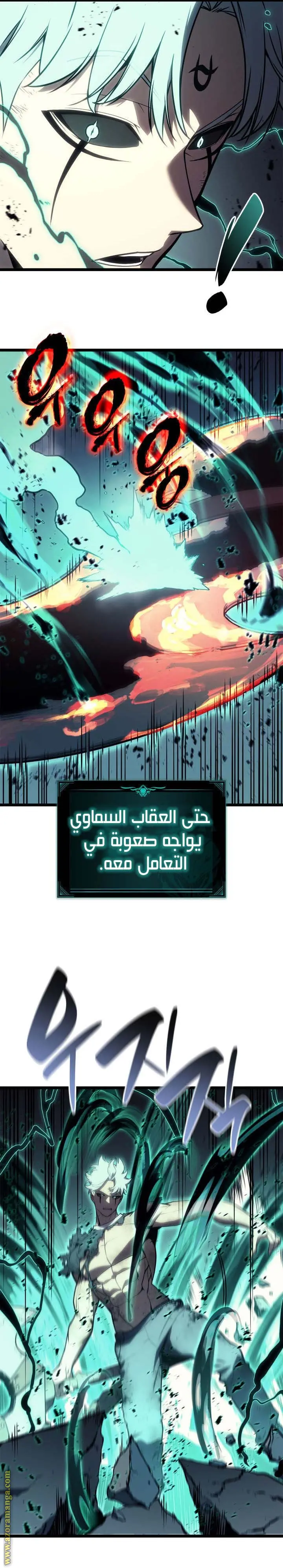 صفحة 13