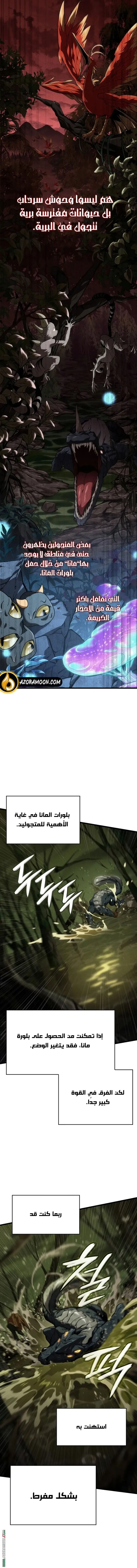 صفحة 17