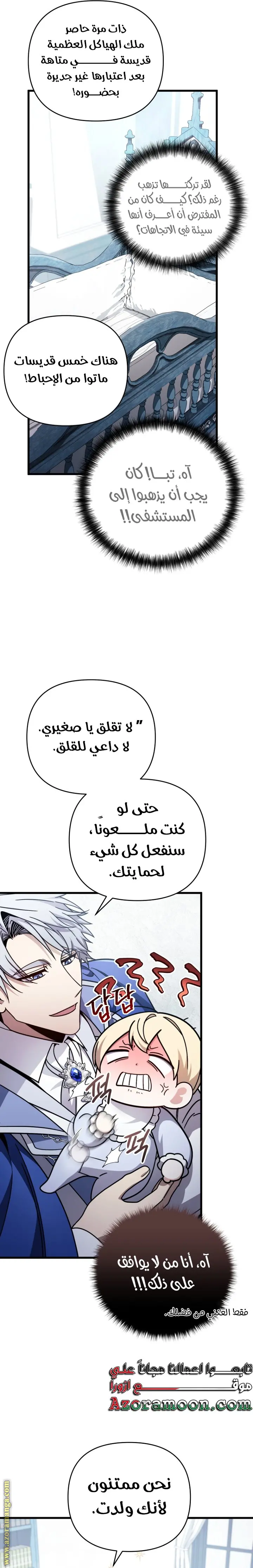 صفحة 17