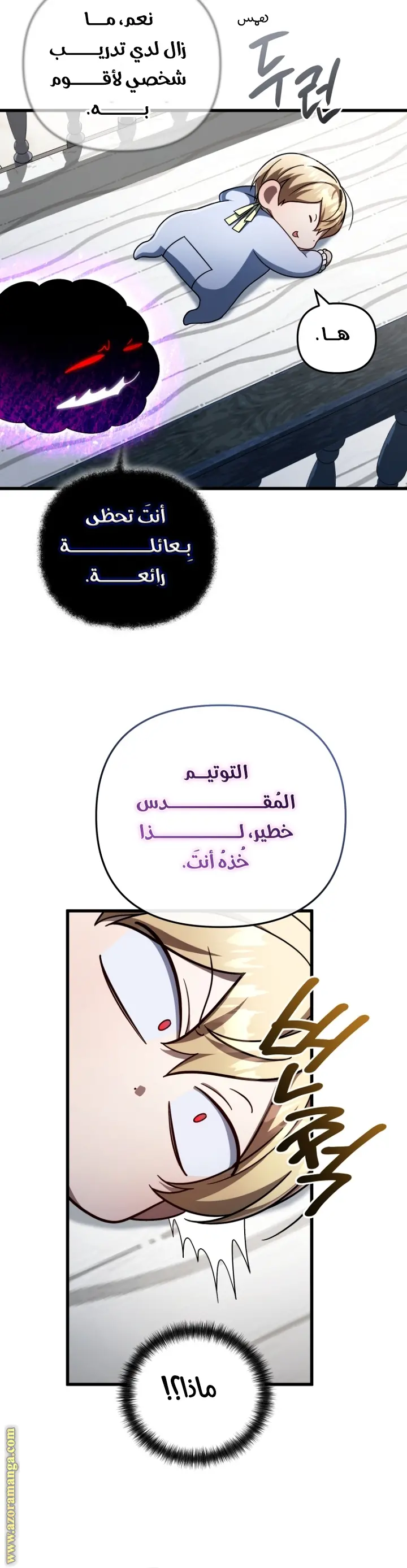 صفحة 13
