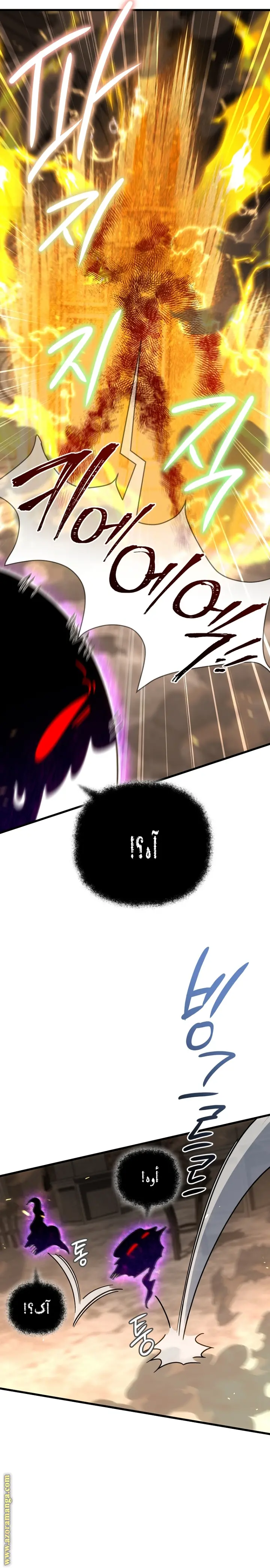 صفحة 14