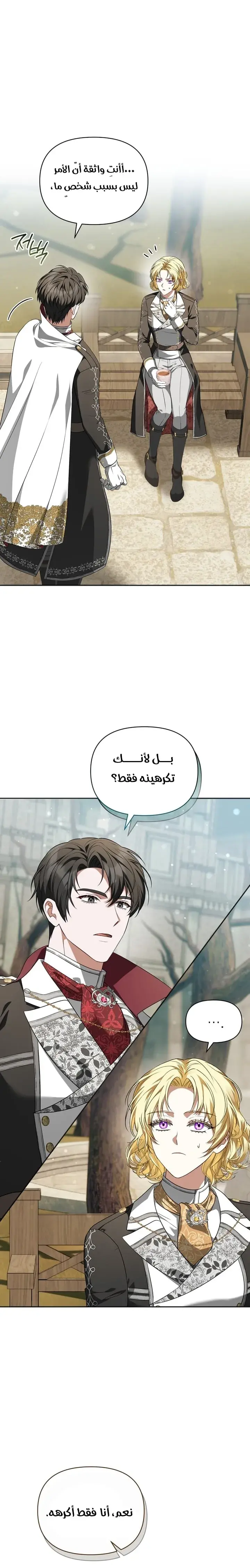 صفحة 17