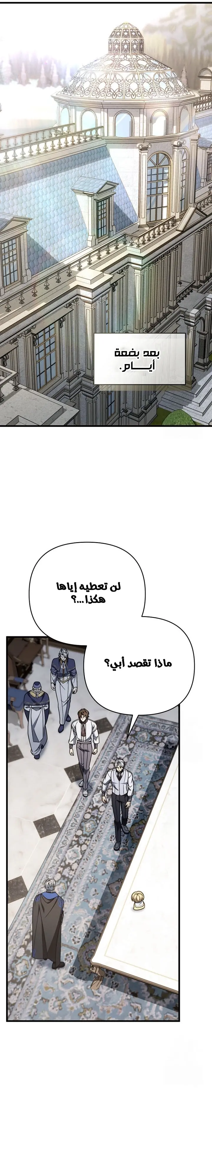 صفحة 17
