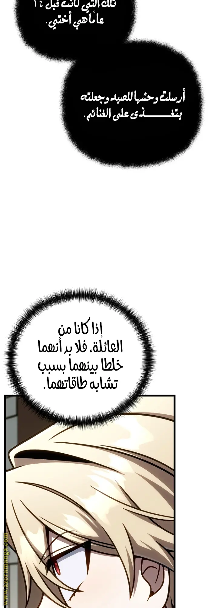 صفحة 13