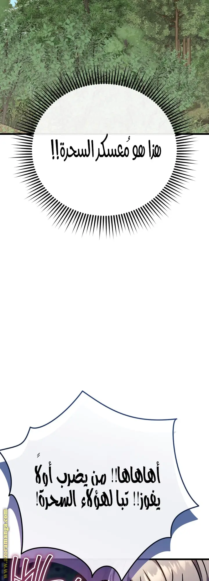 صفحة 13