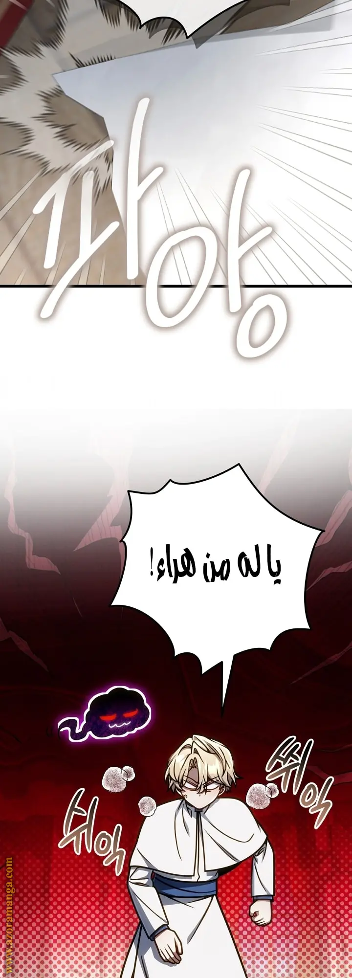 صفحة 17