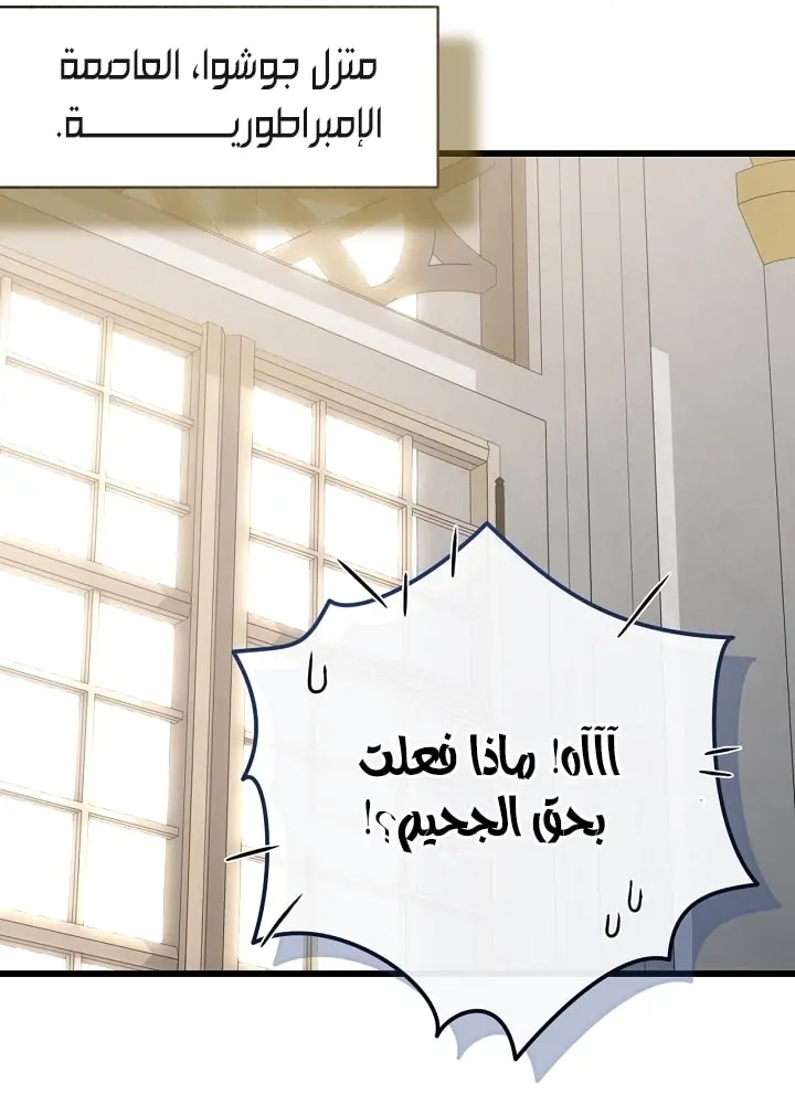 صفحة 17