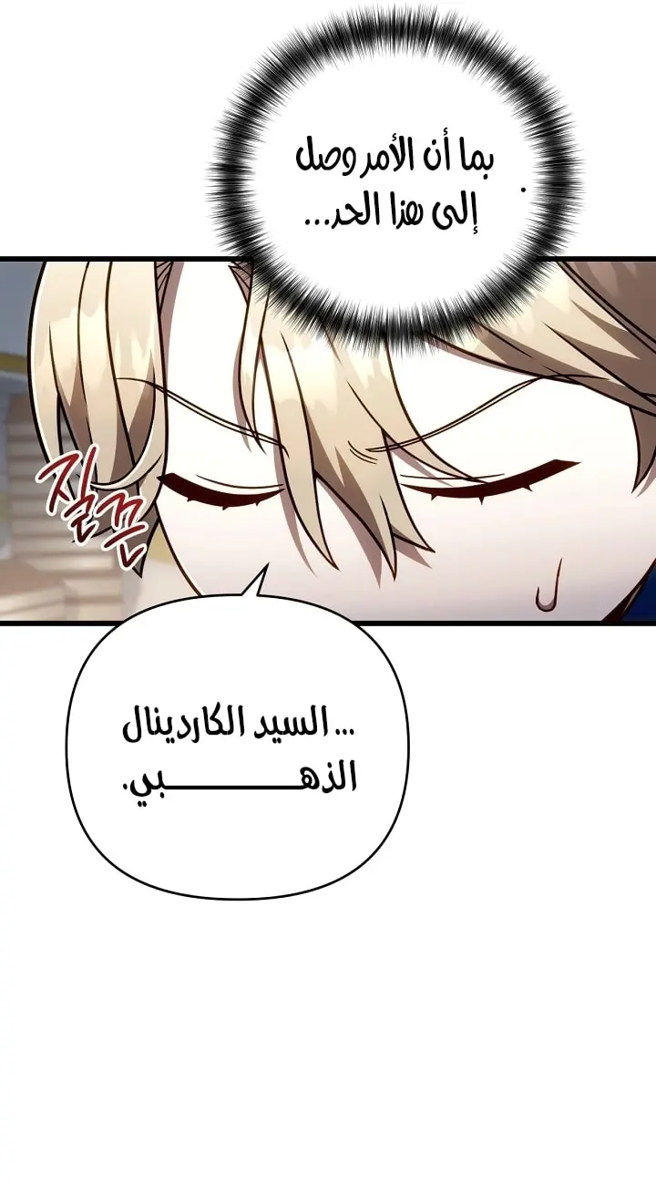 صفحة 13