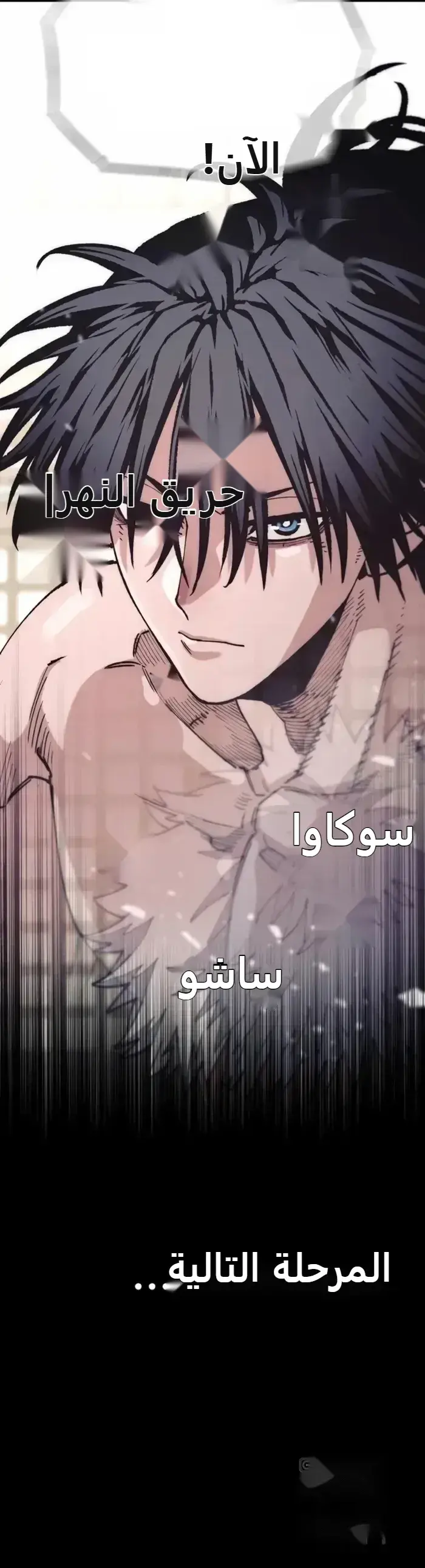 صفحة 24