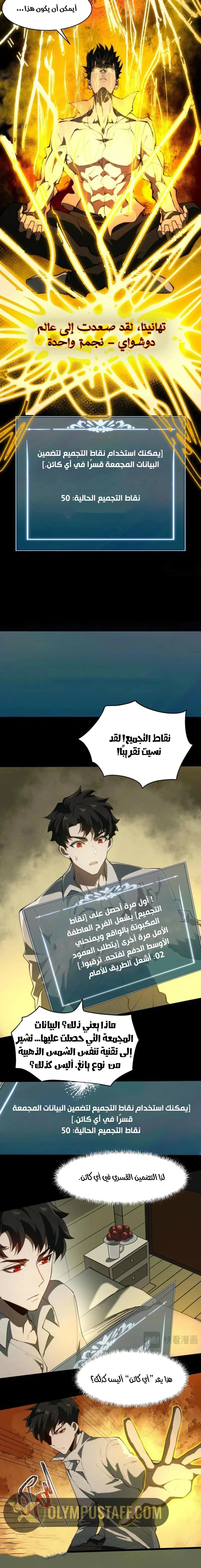 صفحة 13