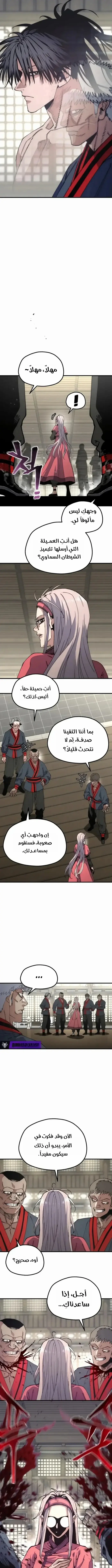 صفحة 13
