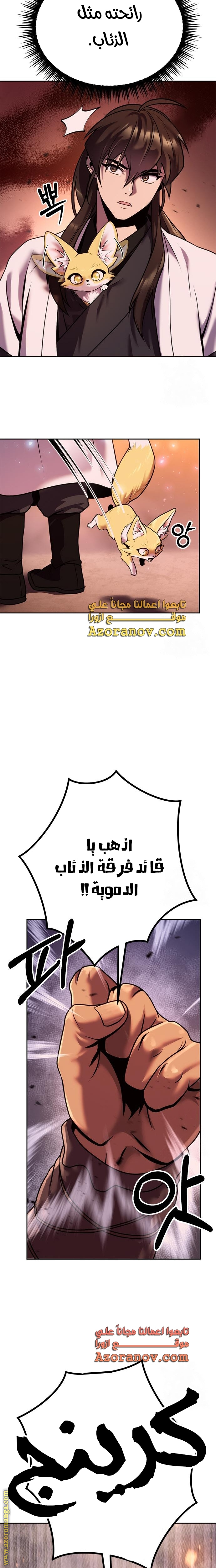 صفحة 17