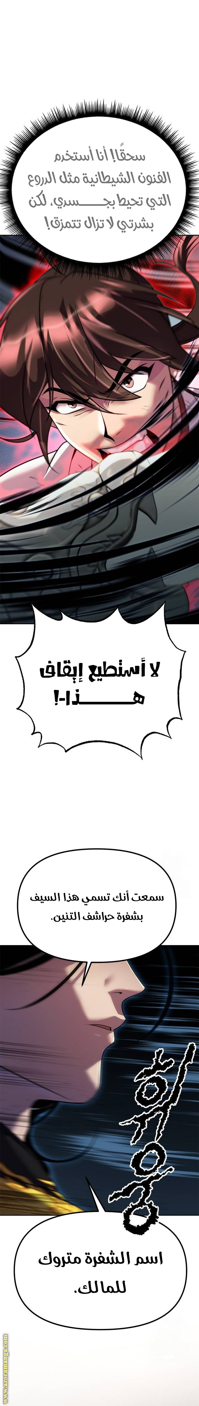 صفحة 17