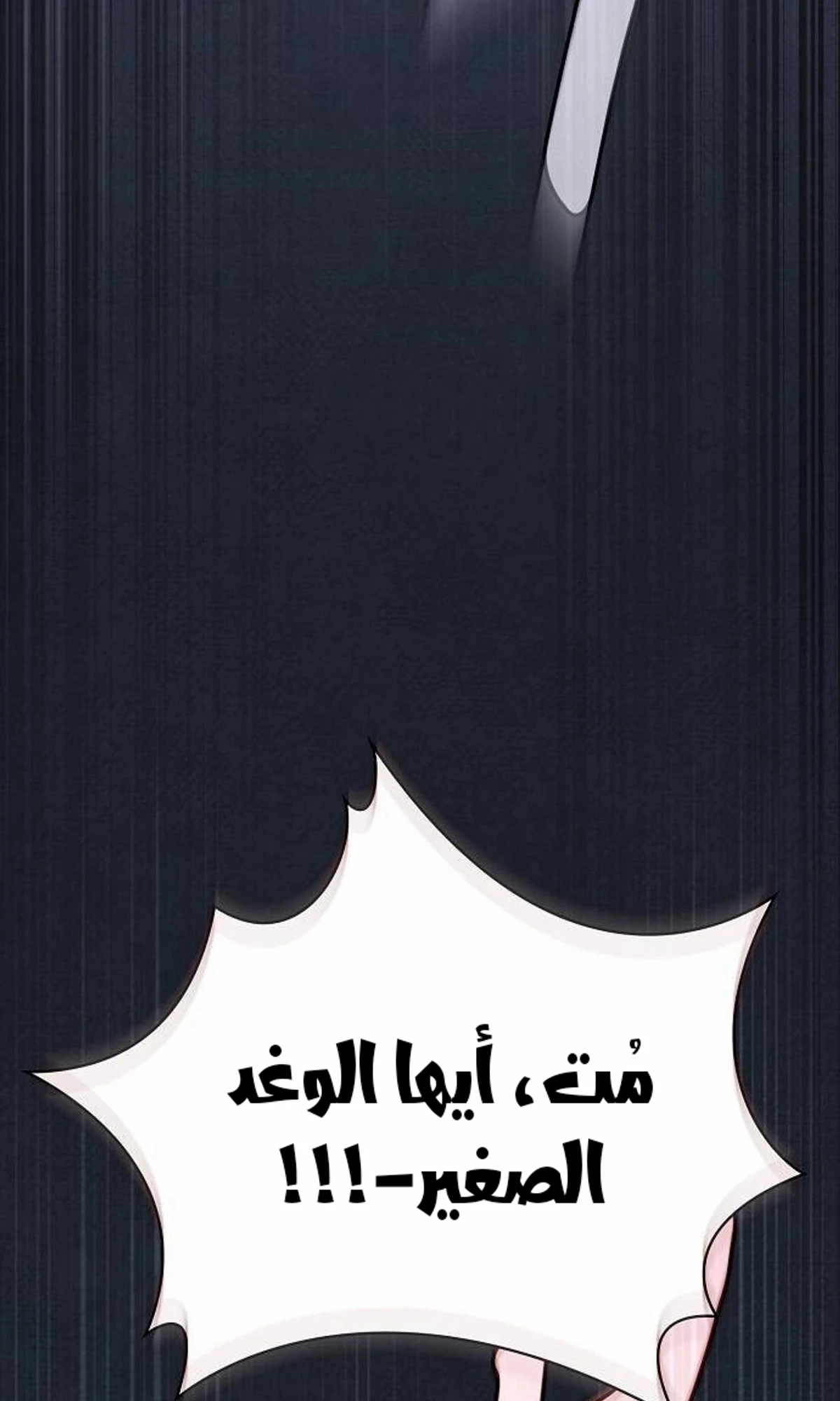 صفحة 7