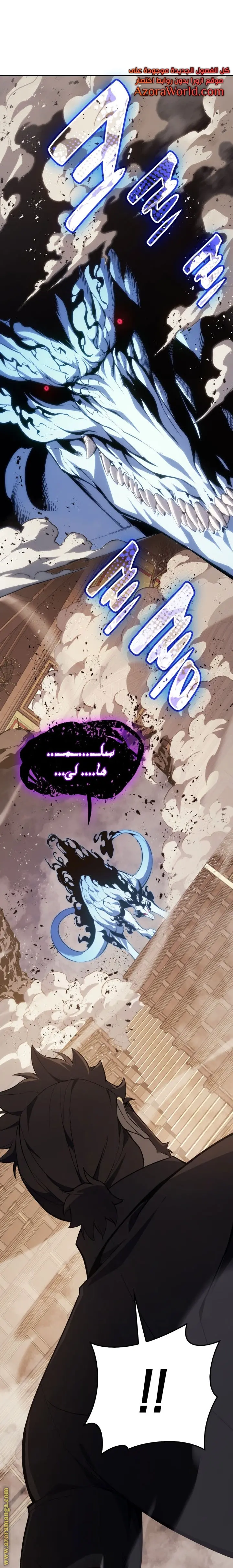 صفحة 17