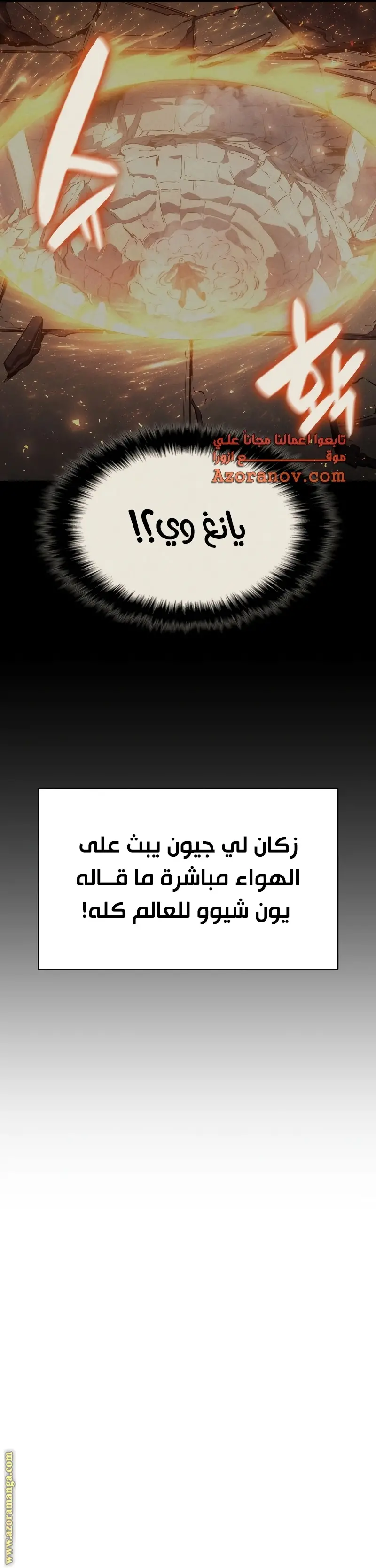 صفحة 17