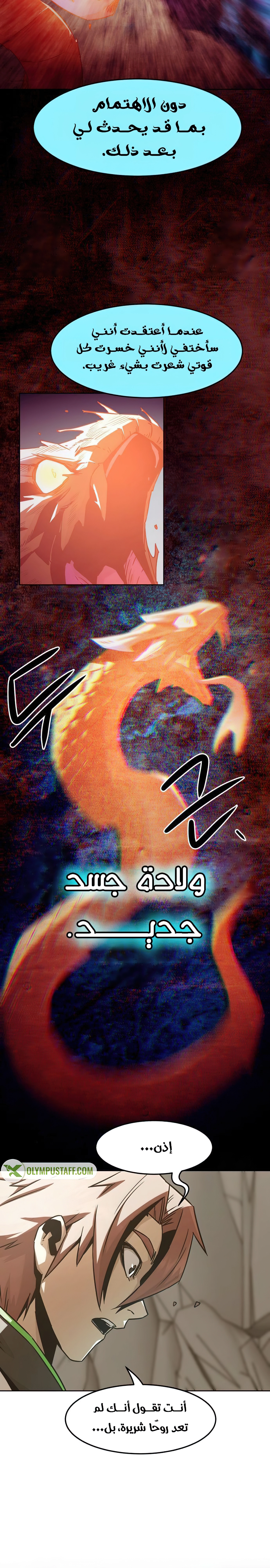 صفحة 13