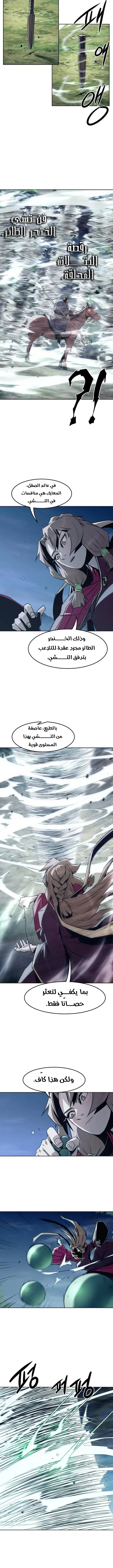 صفحة 5